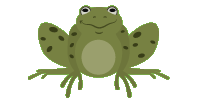 a not so hopping frog