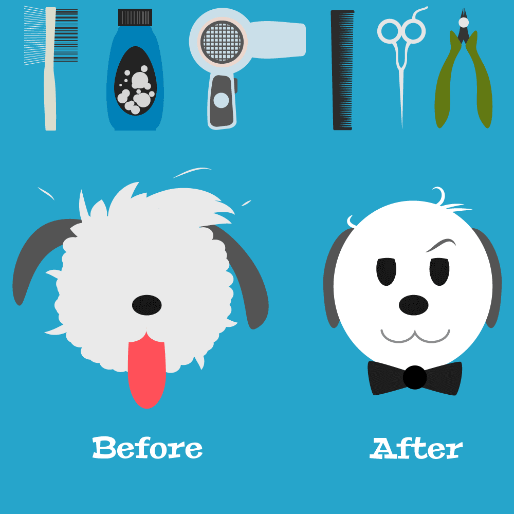 pet grooming images